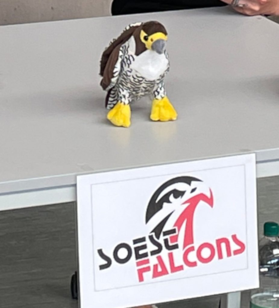 Mitgliederversammlung 2022 und Saisonabschluss der Falcons