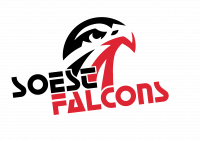 Soest Falcons